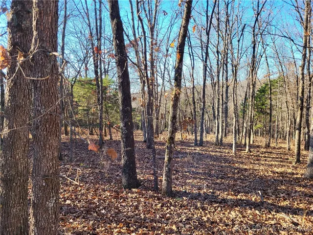 $24,500 | Wolcott Circle, Unit 3823 3824 & 39123915, Edwards, MO 65326