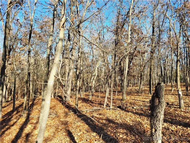 $24,500 | Wolcott Circle, Unit 3823 3824 & 39123915, Edwards, MO 65326