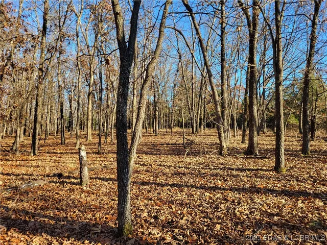 $24,500 | Wolcott Circle, Unit 3823 3824 & 39123915, Edwards, MO 65326