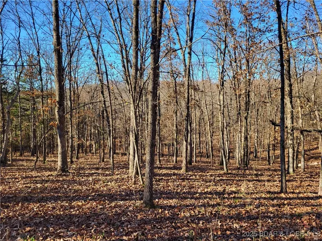 $24,500 | Wolcott Circle, Unit 3823 3824 & 39123915, Edwards, MO 65326