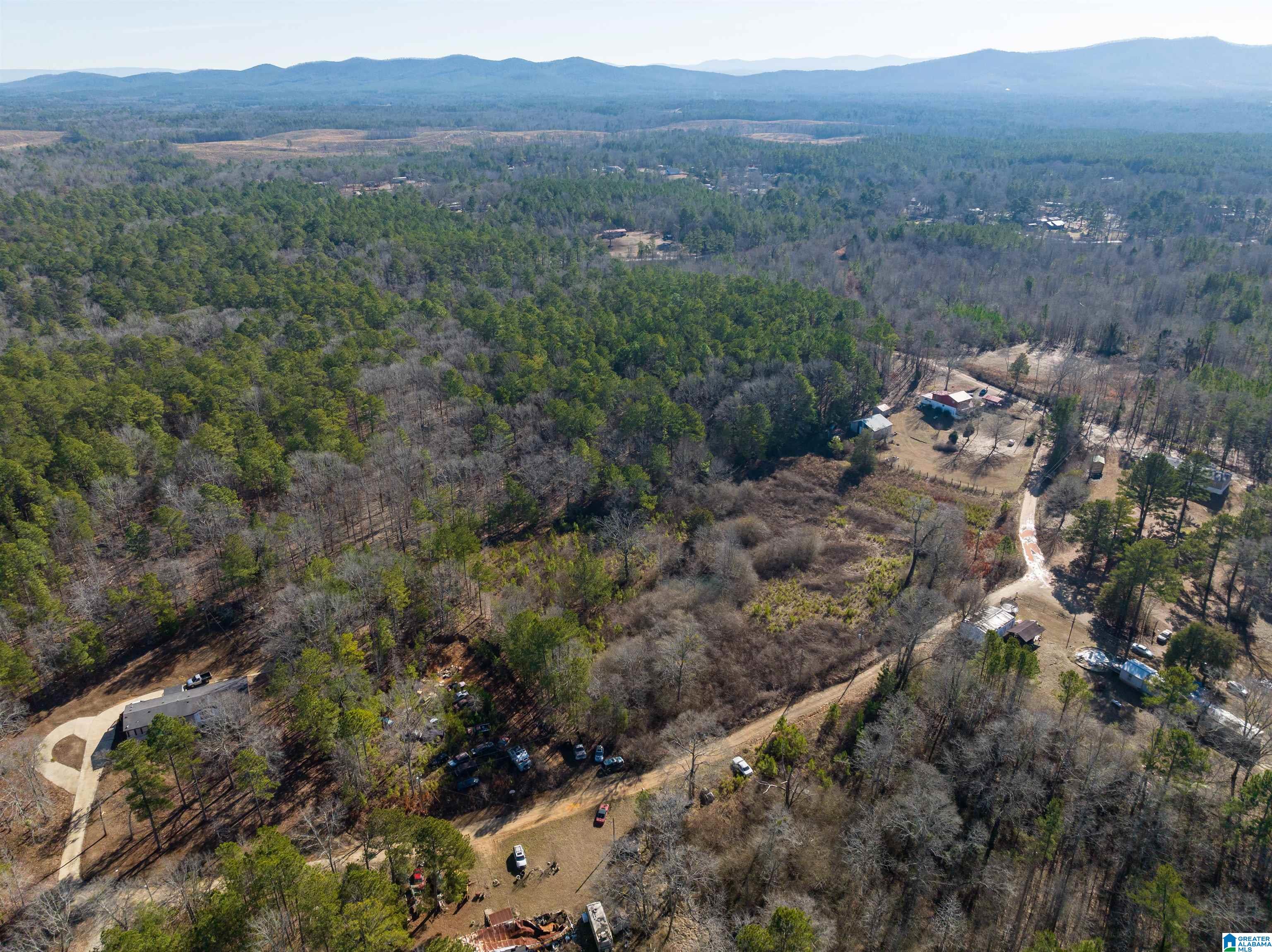 242 Strong Road Talladega, AL 35160 - Photo 39 of 51