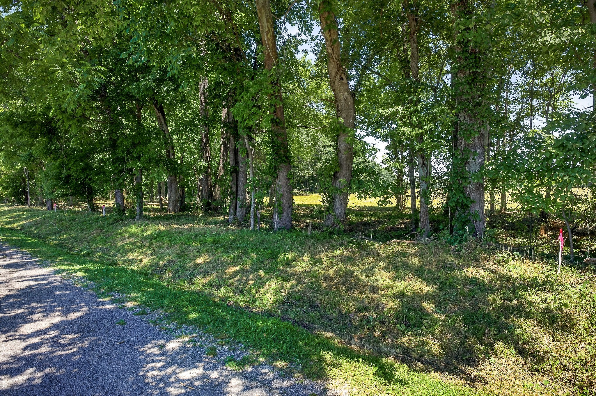 0 Bethel Road Smithville, TN 37166 - Photo 15 of 19 Gallery Image 15
