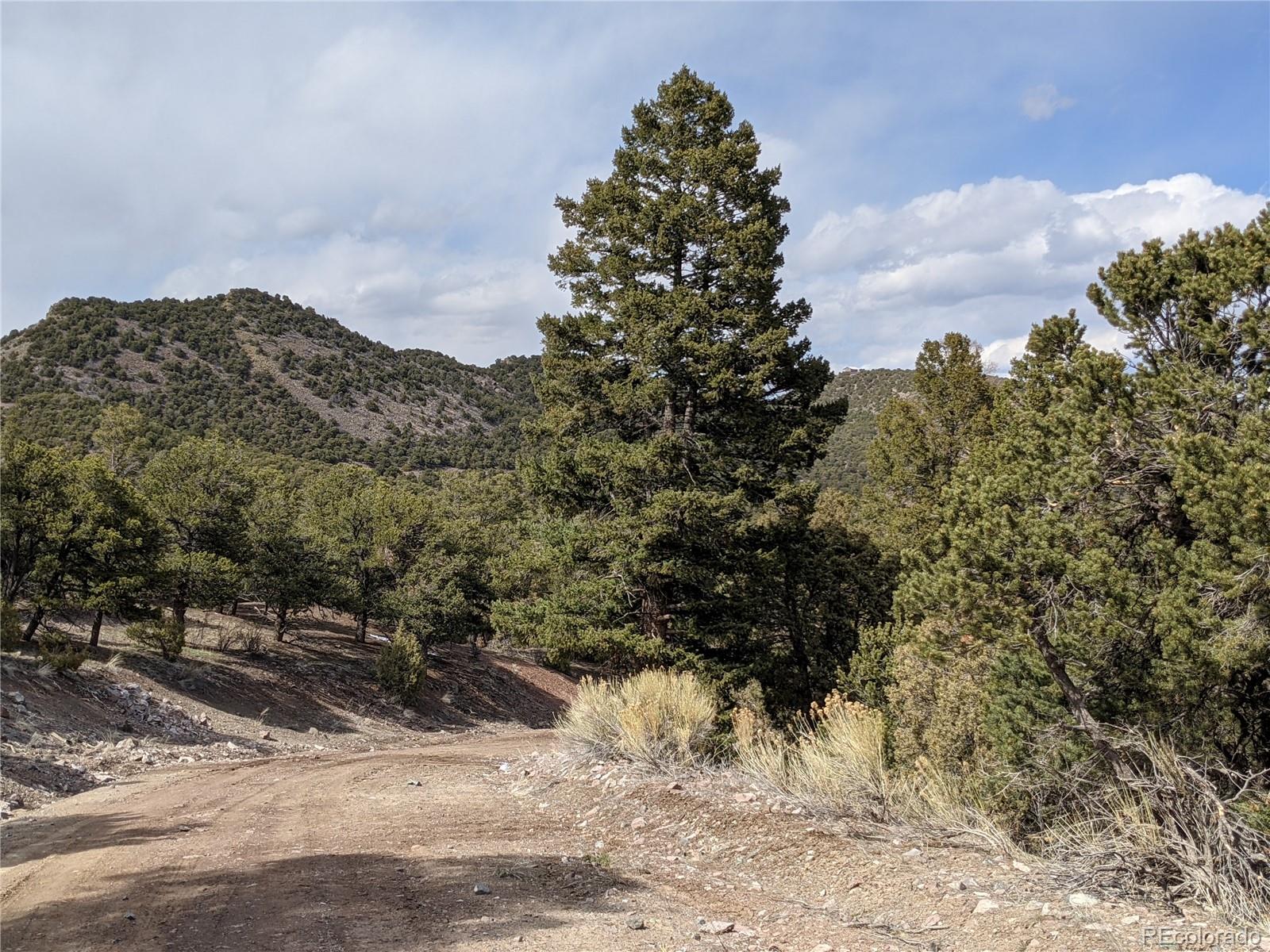 4341 Hyde Road Fort Garland, CO 81133 - Photo 12 of 20 Gallery Image 12