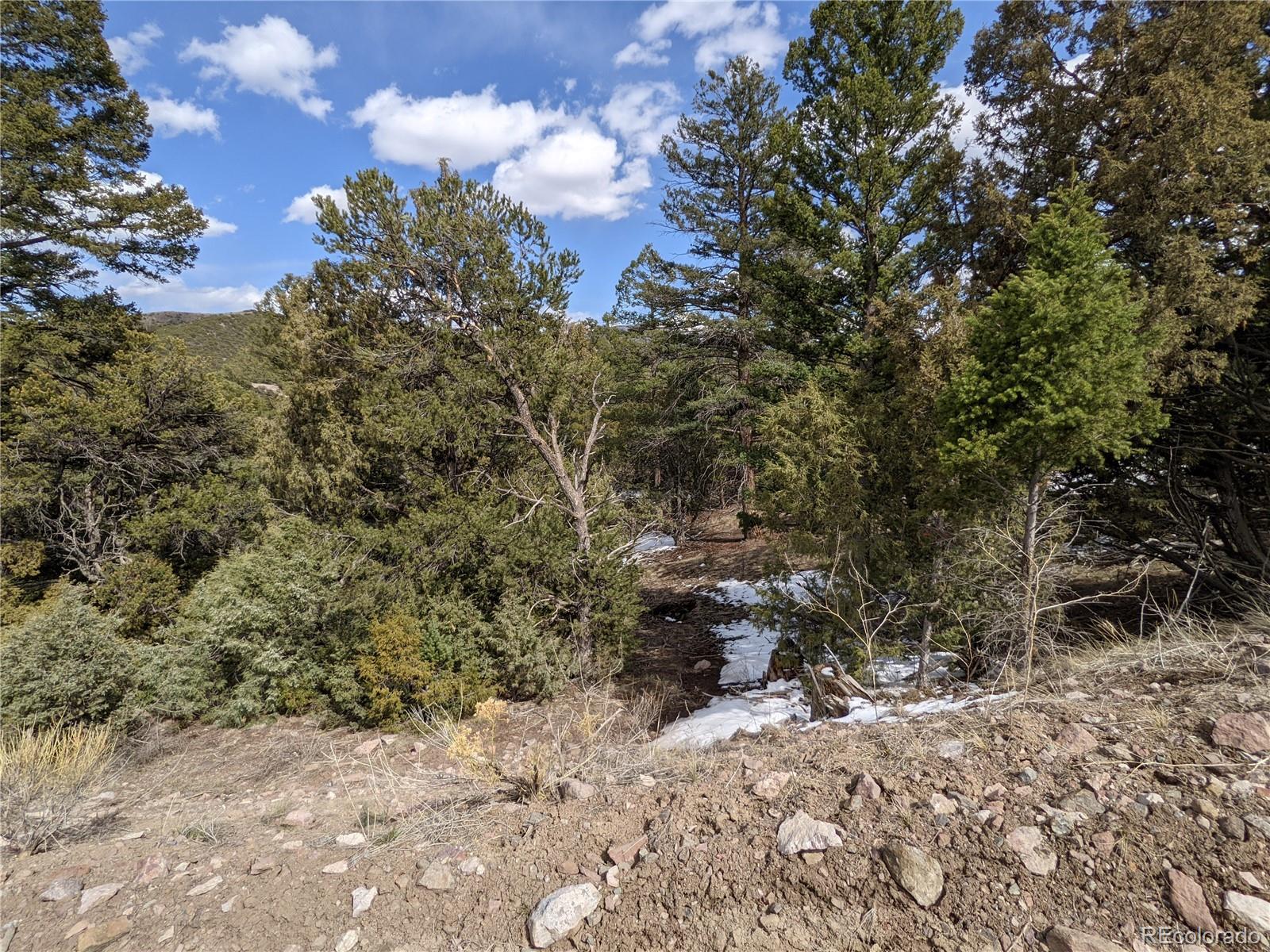 4341 Hyde Road Fort Garland, CO 81133 - Photo 13 of 20 Gallery Image 13