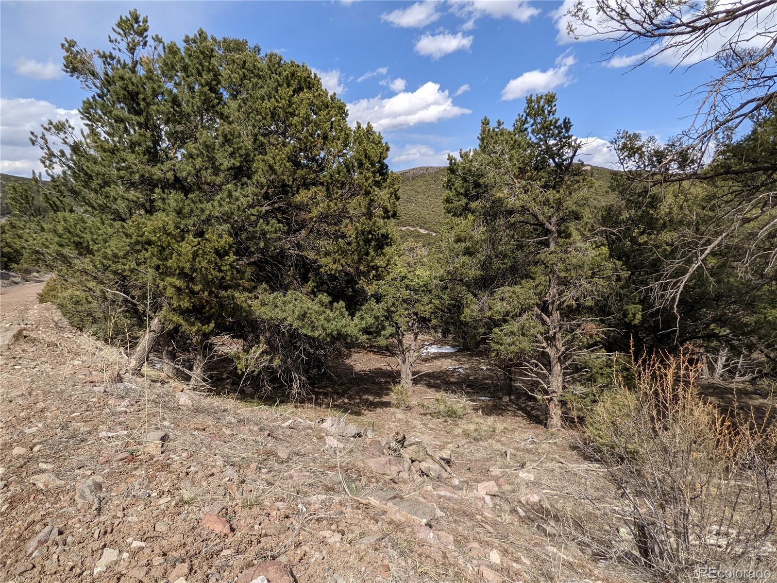 4341 Hyde Road Fort Garland, CO 81133 - Photo 15 of 20 Gallery Image 15