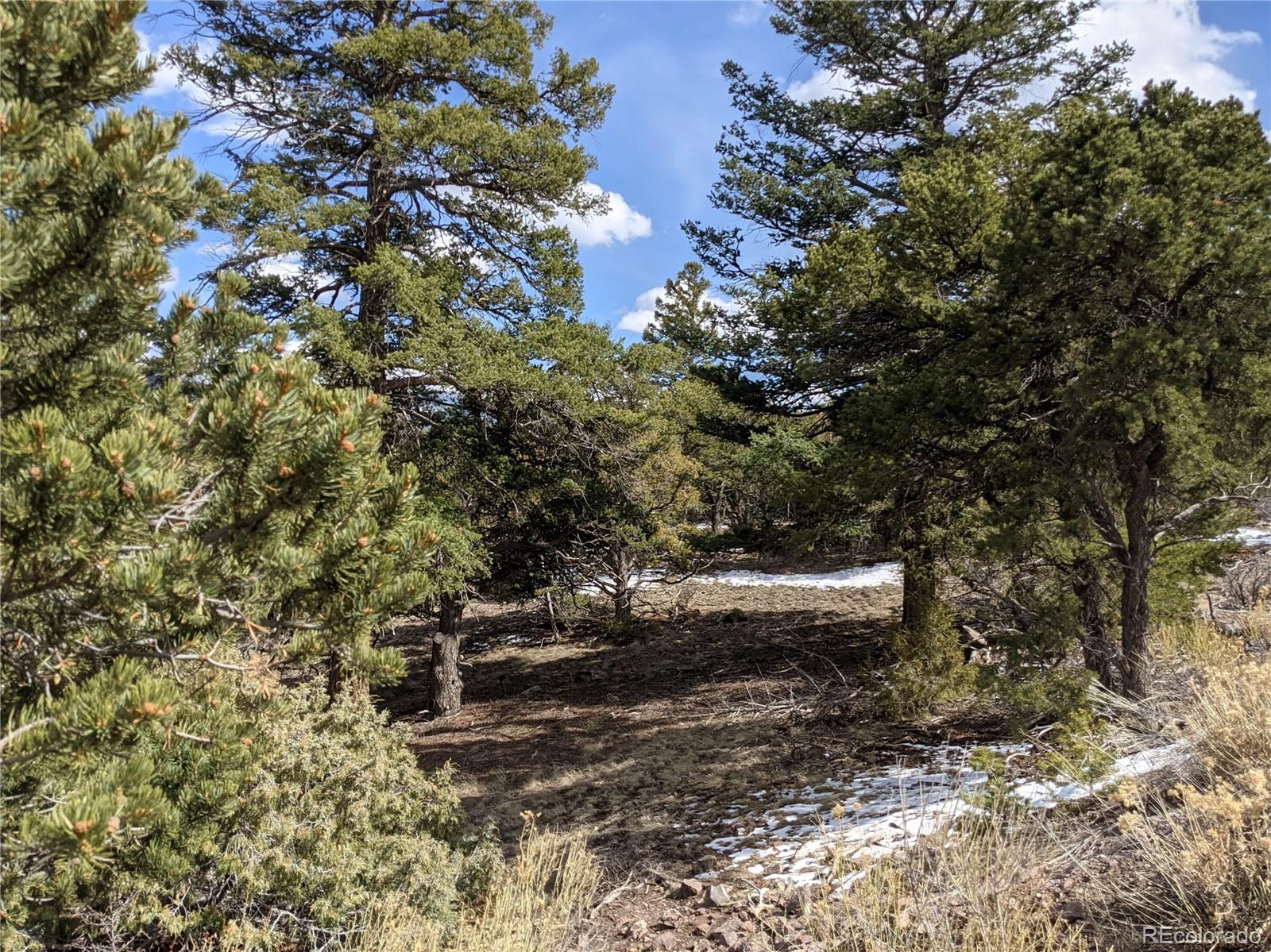 4341 Hyde Road Fort Garland, CO 81133 - Photo 2 of 20 Gallery Image 2