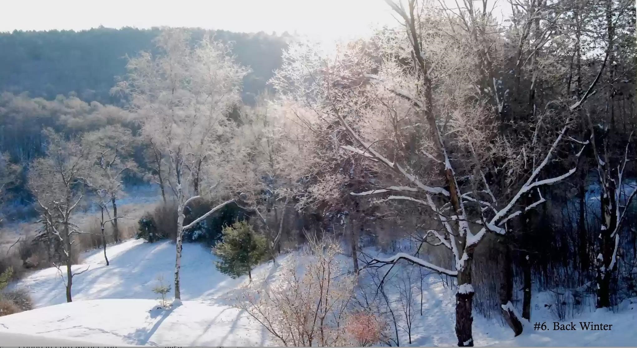 498 New Boston Road Norwich, VT 05055 - Photo 6 of 32