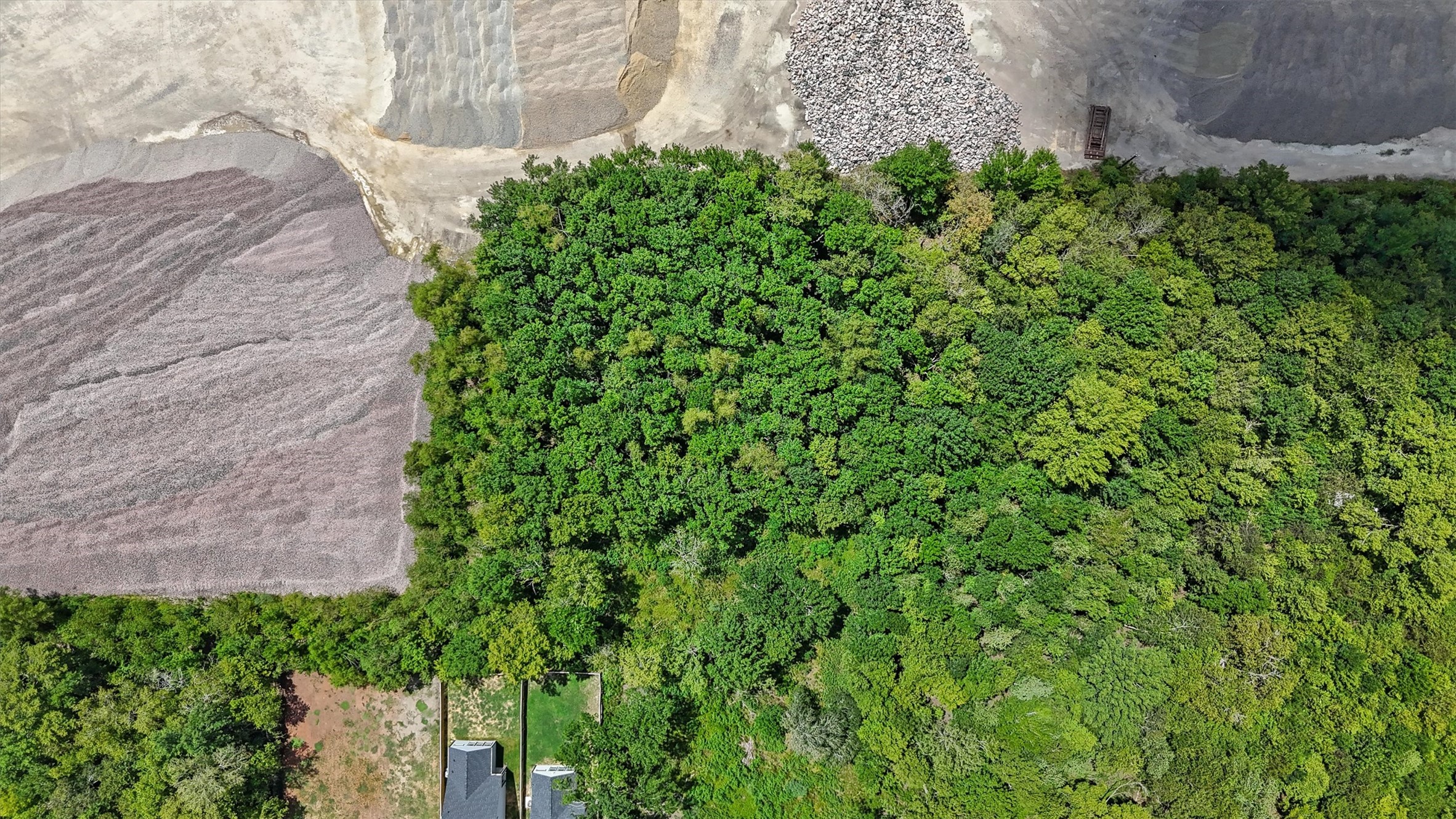 0 Pinedale Avenue Rosharon, TX 77583 - Photo 10 of 19 a plant that is sitting in a garden