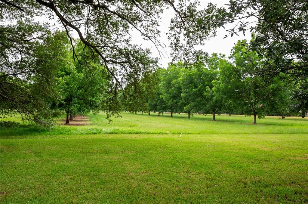 51 Rosalie Road Alexandria, LA 71302 - Photo 19 of 39 Gallery Image 19