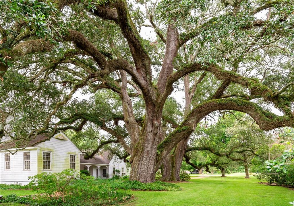 51 Rosalie Road Alexandria, LA 71302 - Photo 3 of 39 Gallery Image 3