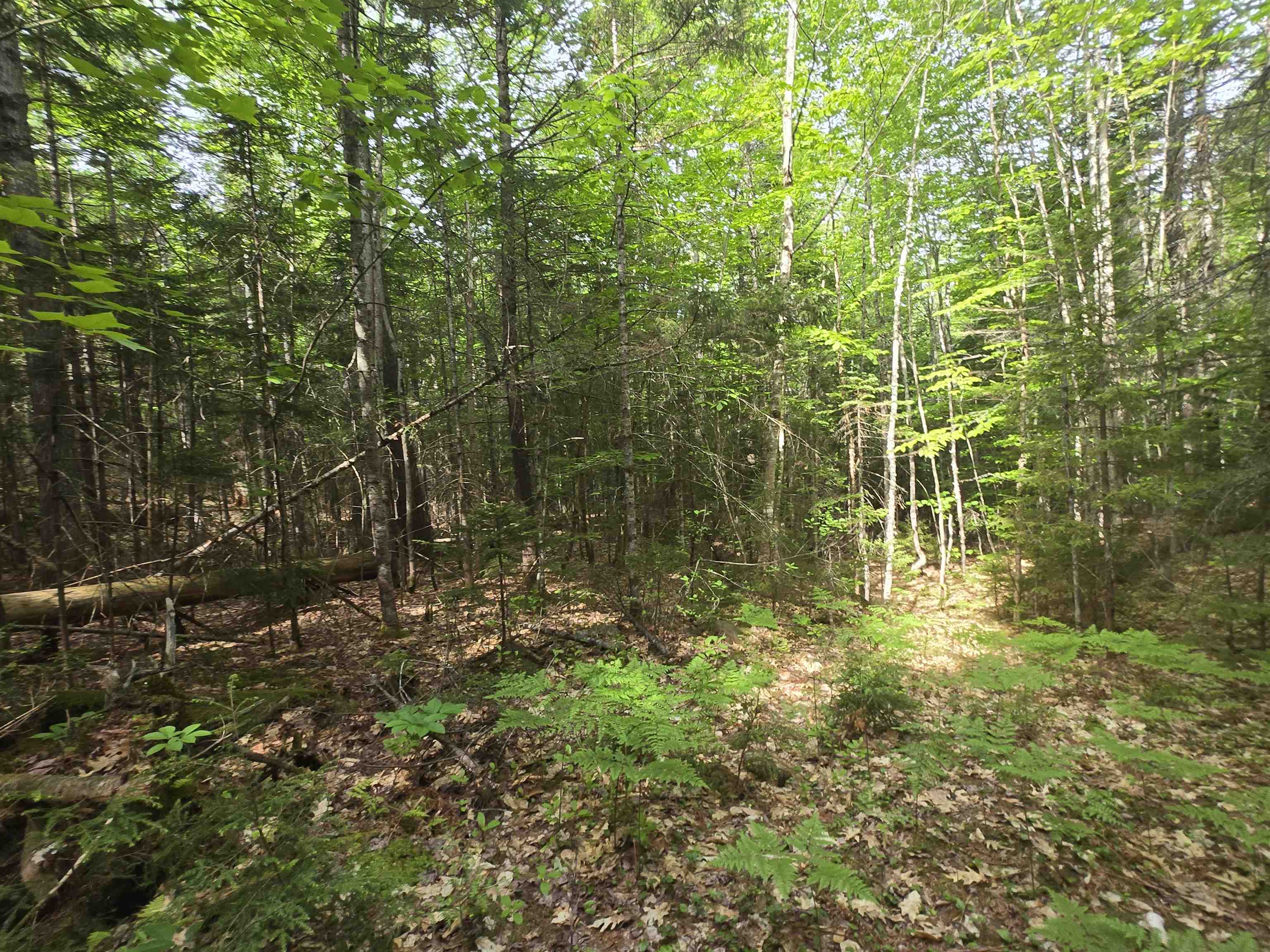 0 Thorn Hill Road, Unit R148B Jackson, NH 03846 - Photo 15 of 21