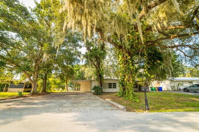 a view of a yard in front of a house with a large tree