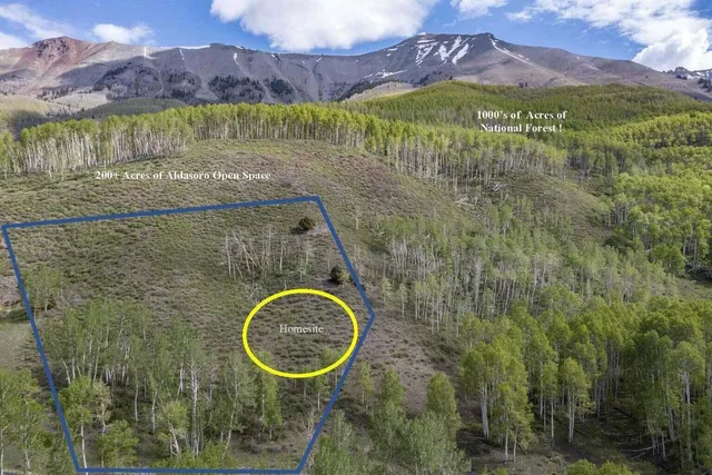 $1,549,000 | Tbd Tbd Christina's Way, Telluride, CO 81435