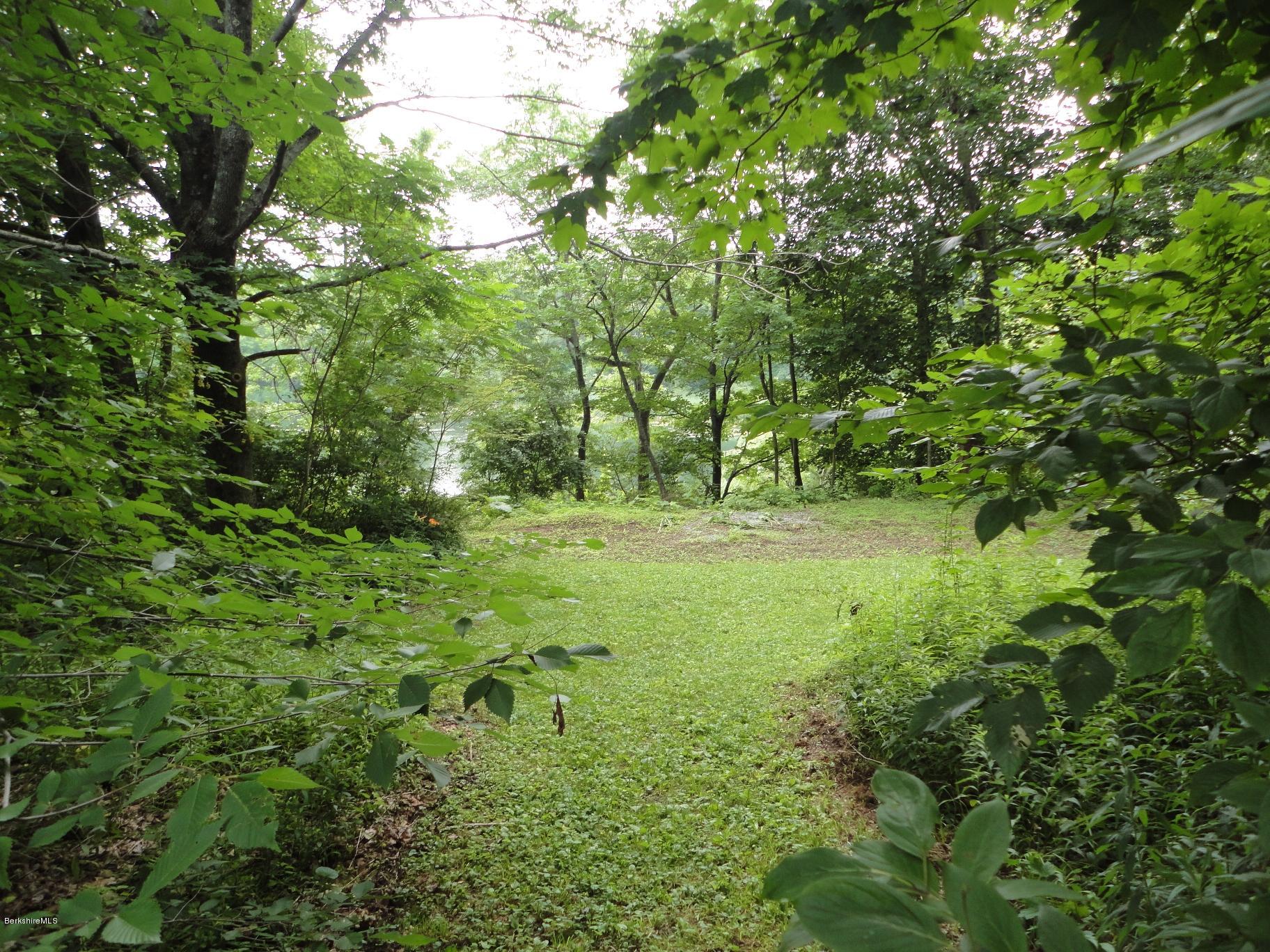 19 Swamp Road West Stockbridge, MA 01266 - Photo 4 of 12 a lush green forest with lots of trees