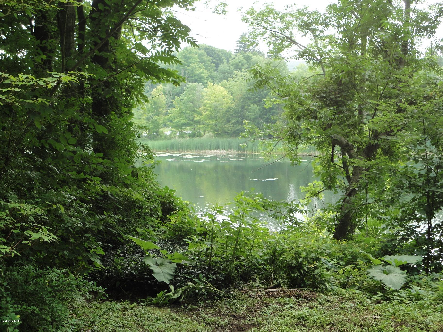19 Swamp Road West Stockbridge, MA 01266 - Photo 5 of 12 a view of a garden with a lake