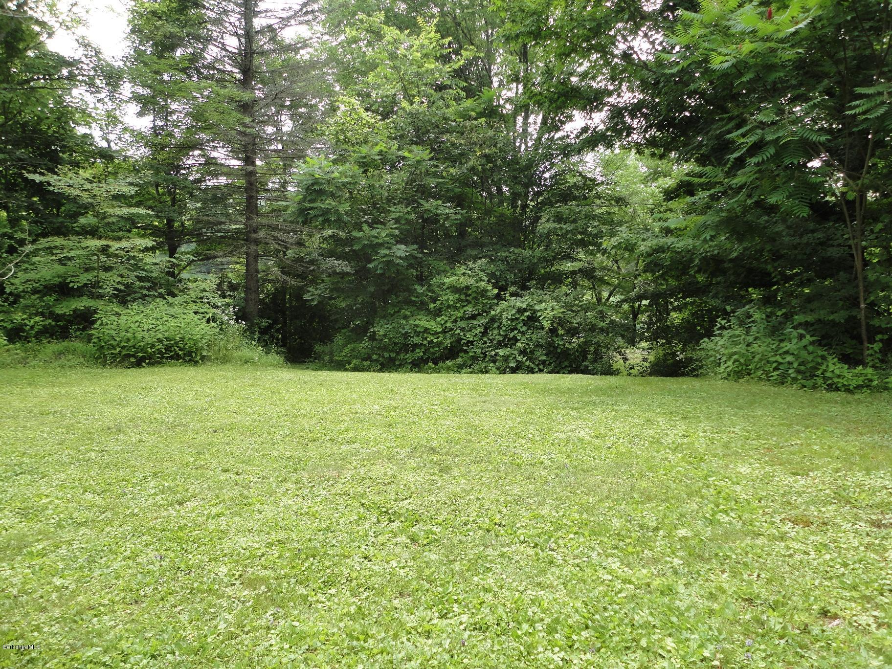 19 Swamp Road West Stockbridge, MA 01266 - Photo 6 of 12 a view of a yard with a trees