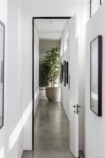 a view of a hallway with wooden floor and potted plant