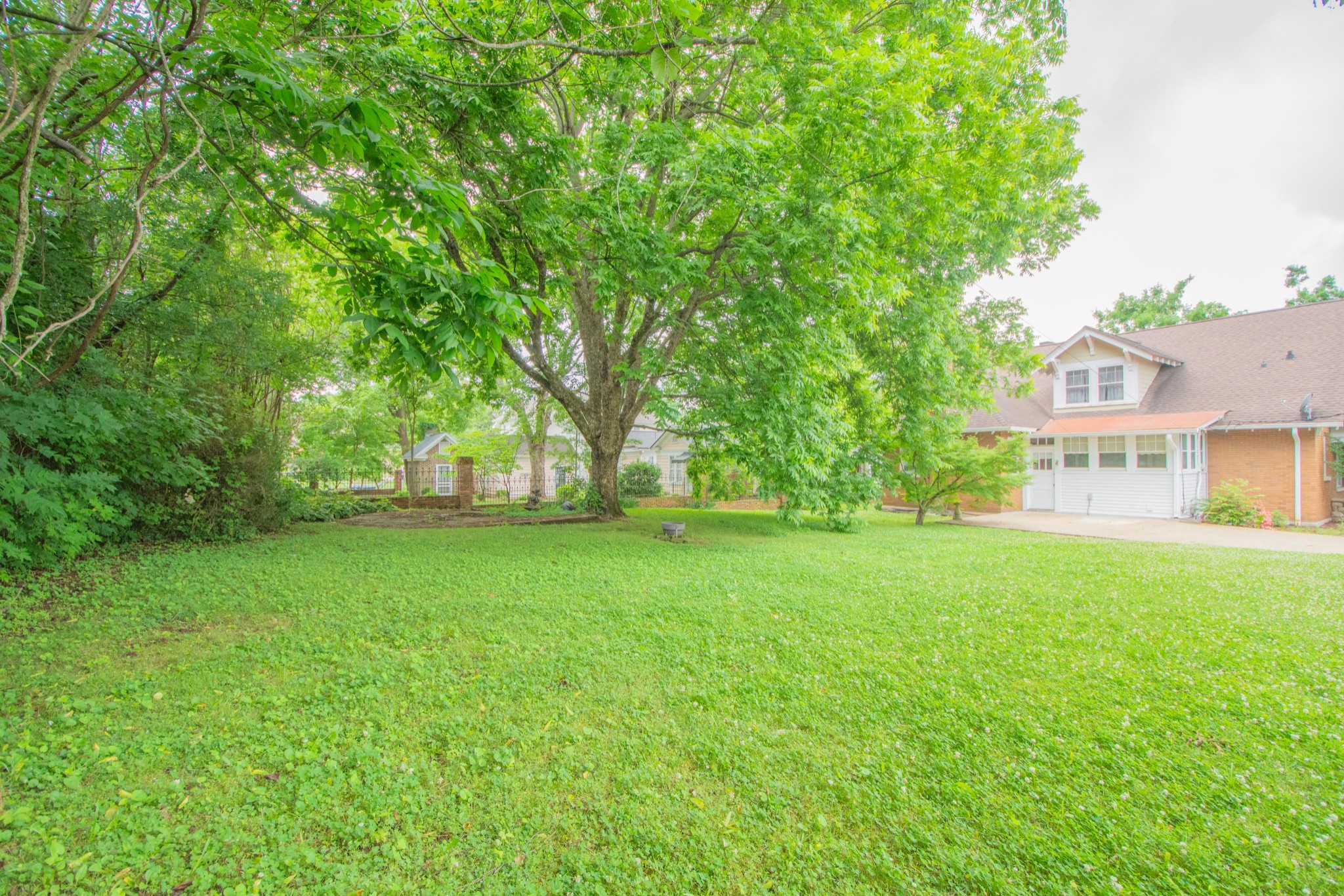 311 South 3rd Street Pulaski, TN 38478 - Photo 43 of 44 a view of a big yard with plants and trees