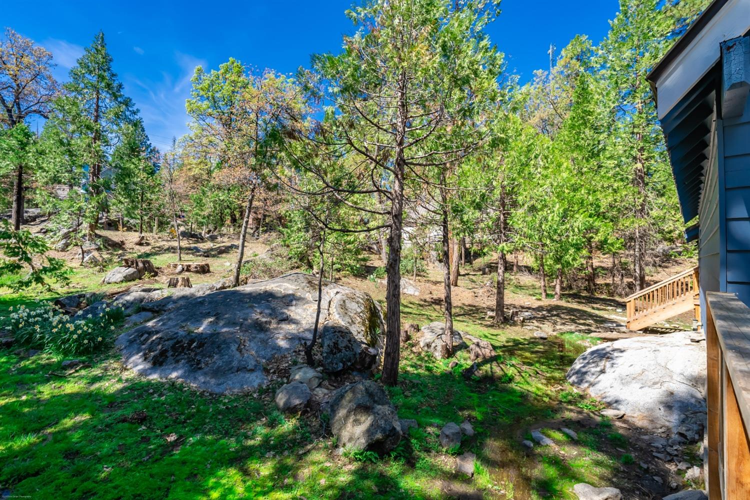 41277 Timber Drive Shaver Lake, CA 93664 - Photo 23 of 24 a view of outdoor space and green field