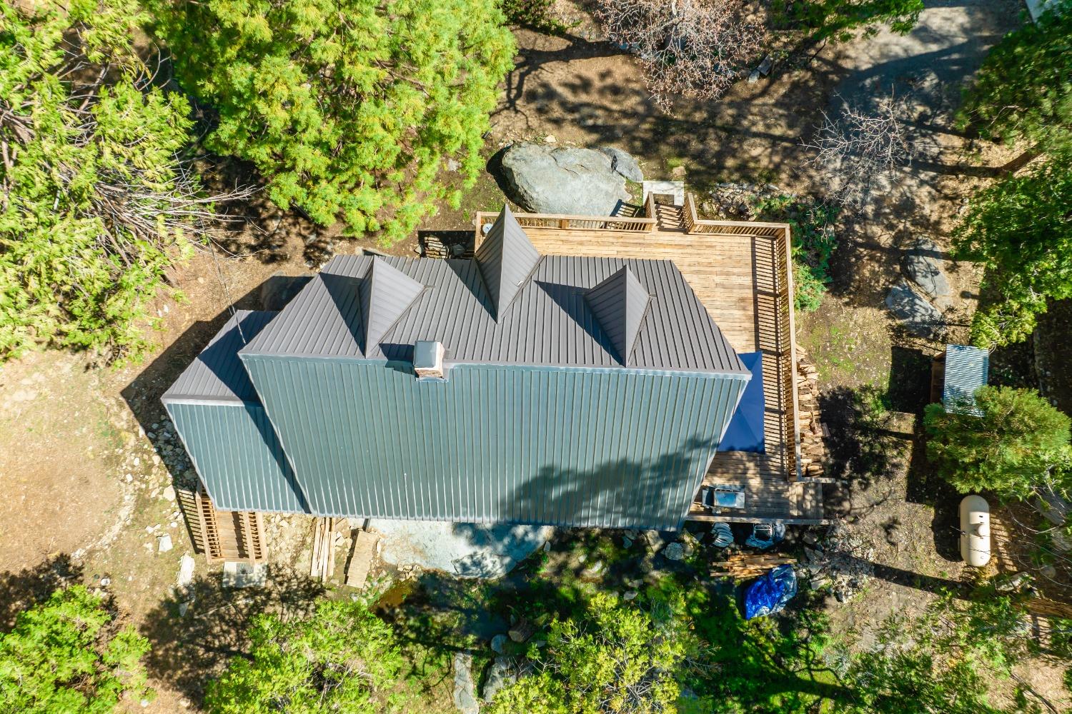 41277 Timber Drive Shaver Lake, CA 93664 - Photo 8 of 24 a view of a house with a yard and potted plants