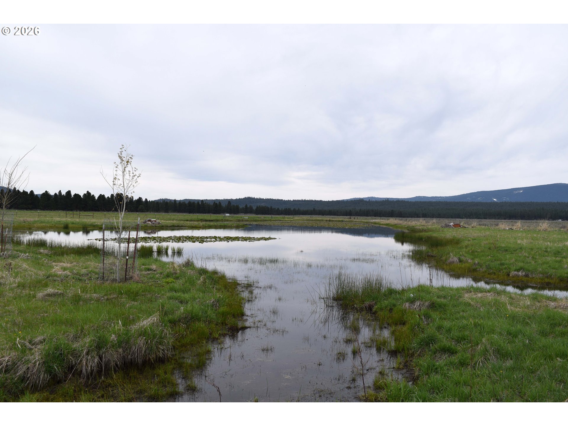 Skeen Ranch Road Chiloquin, OR 97624 - Photo 15 of 24 Gallery Image 15