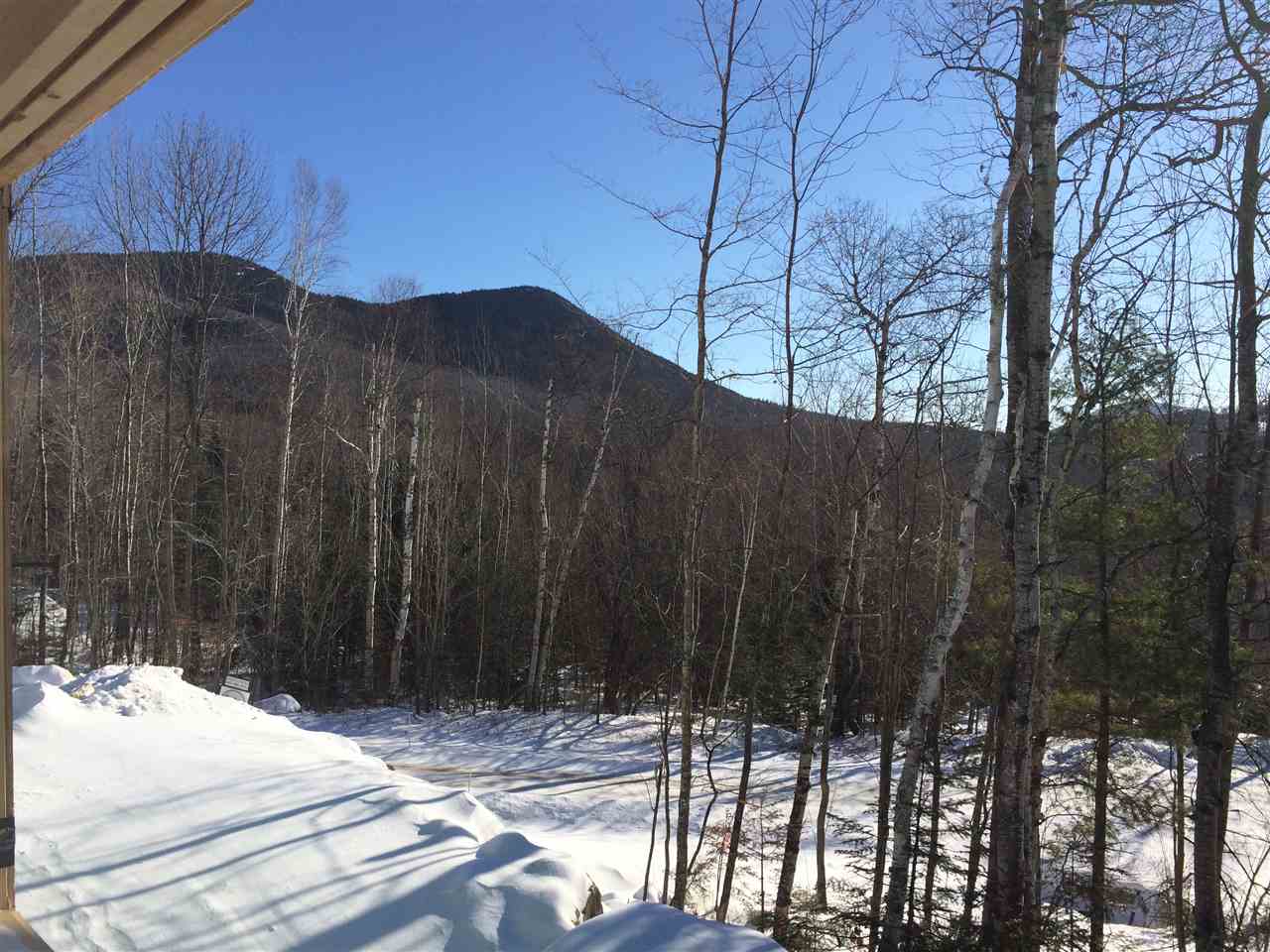 59 East Field Road, Unit 1 Jackson, NH 03846 - Photo 6 of 40