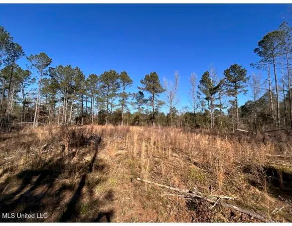 $153,939 | Poplar Springs Road, Hazlehurst, MS 39083