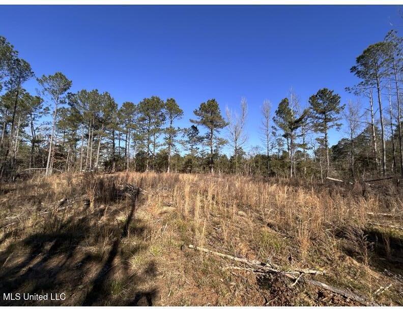 Poplar Springs Road Hazlehurst, MS 39083 - Photo 11 of 14 Poplar Springs - Loading Ramp