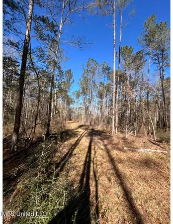 $153,939 | Poplar Springs Road, Hazlehurst, MS 39083