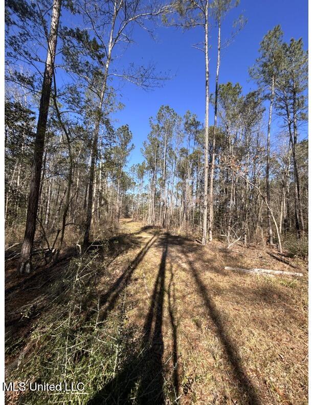 Poplar Springs Road Hazlehurst, MS 39083 - Photo 12 of 14 Poplar Springs - Internal Trail 1