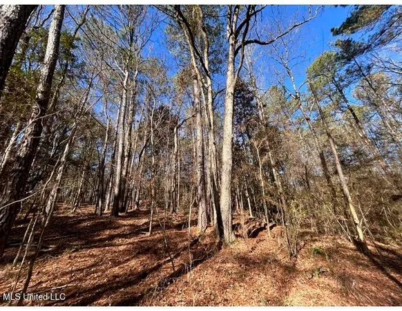 $153,939 | Poplar Springs Road, Hazlehurst, MS 39083
