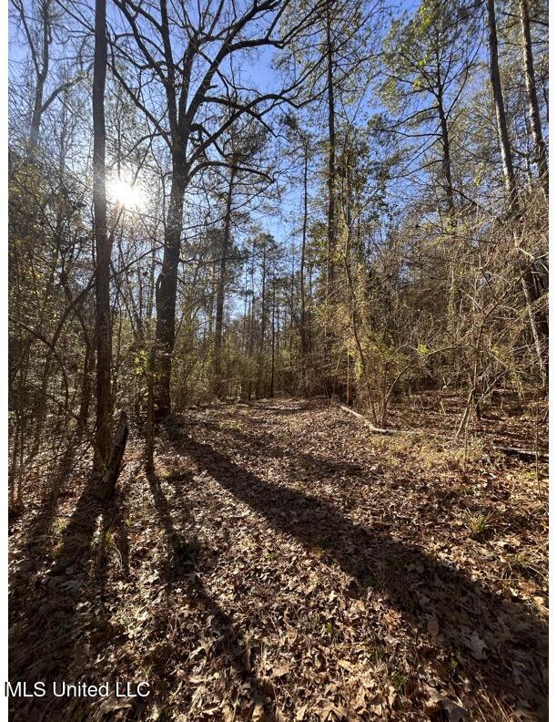 Poplar Springs Road Hazlehurst, MS 39083 - Photo 14 of 14 trail 3