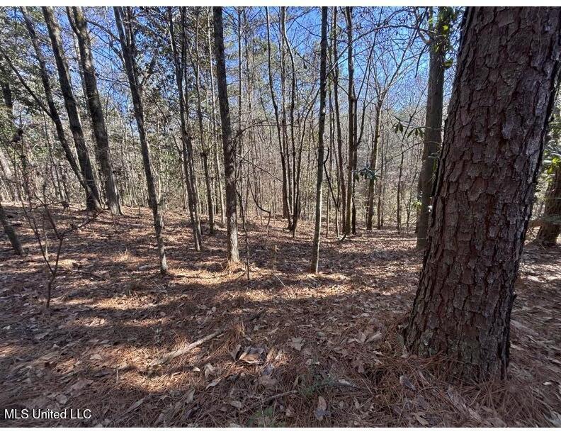 Poplar Springs Road Hazlehurst, MS 39083 - Photo 2 of 14 Poplar Springs-Pine