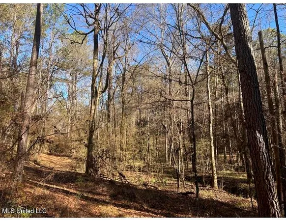 $153,939 | Poplar Springs Road, Hazlehurst, MS 39083
