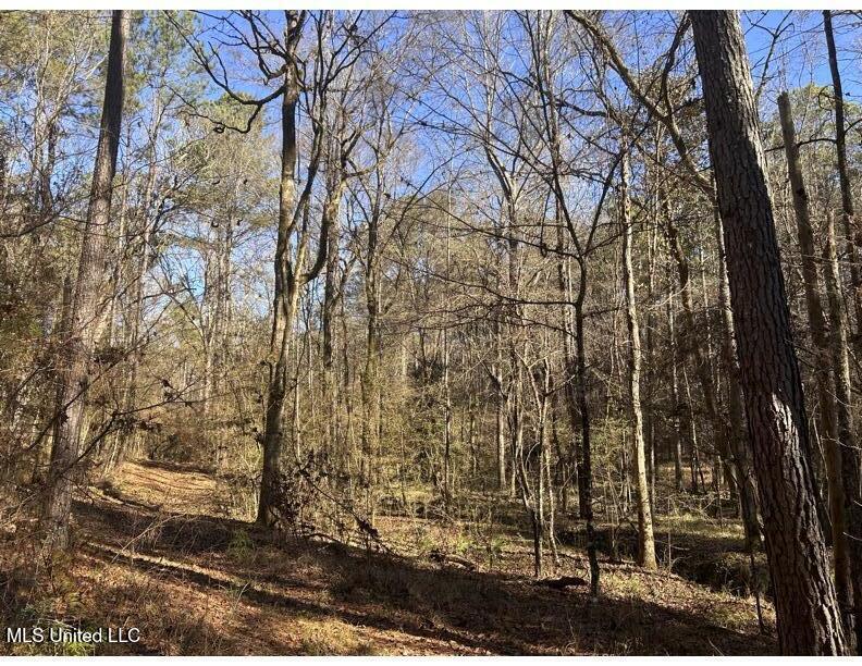 Poplar Springs Road Hazlehurst, MS 39083 - Photo 3 of 14 Poplar Springs-Hardwoods
