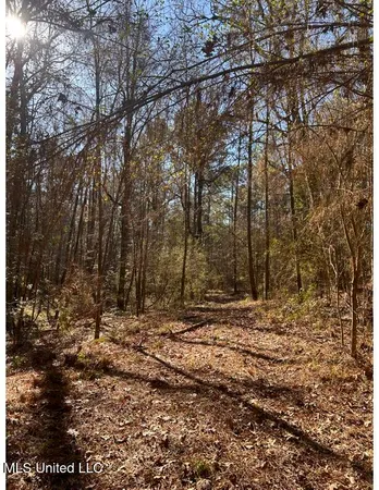 $153,939 | Poplar Springs Road, Hazlehurst, MS 39083