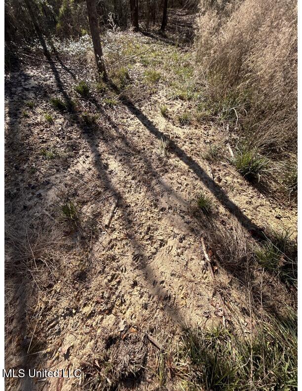 Poplar Springs Road Hazlehurst, MS 39083 - Photo 5 of 14 Poplar Springs-Tracks