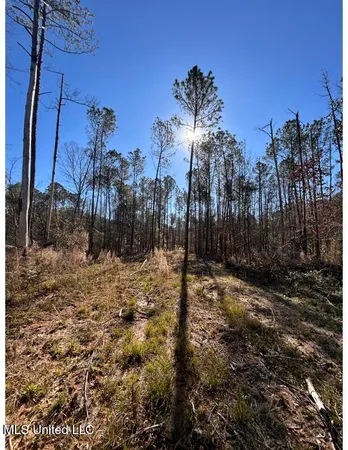 $153,939 | Poplar Springs Road, Hazlehurst, MS 39083
