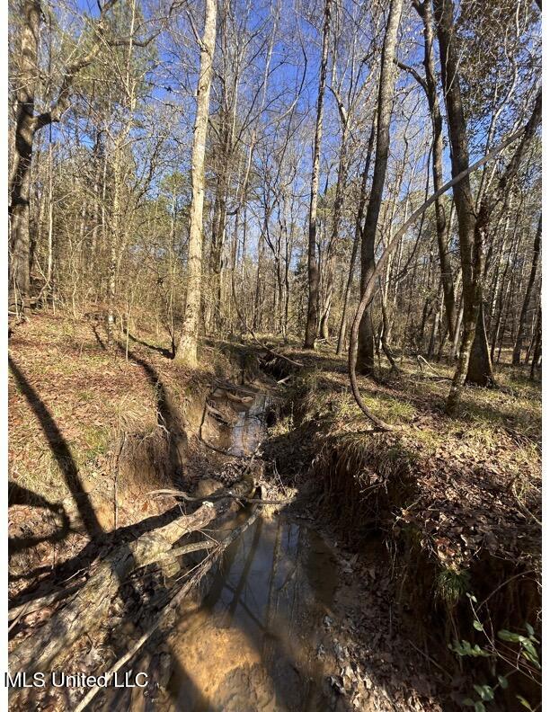 Poplar Springs Road Hazlehurst, MS 39083 - Photo 7 of 14 Poplar Springs-Stream
