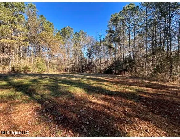 $153,939 | Poplar Springs Road, Hazlehurst, MS 39083