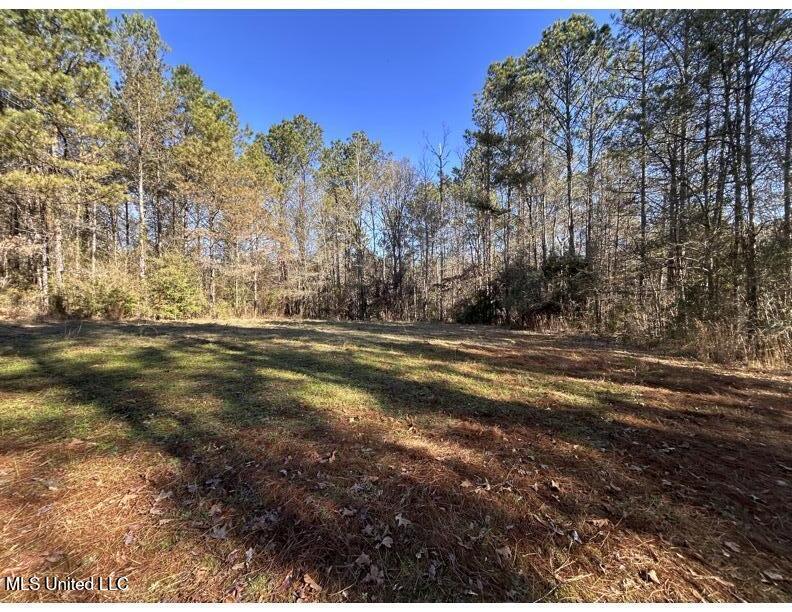 Poplar Springs Road Hazlehurst, MS 39083 - Photo 8 of 14 Poplar Springs-Small Opening