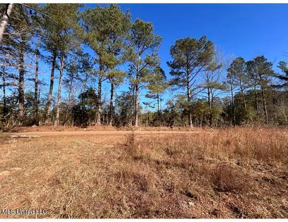 $153,939 | Poplar Springs Road, Hazlehurst, MS 39083
