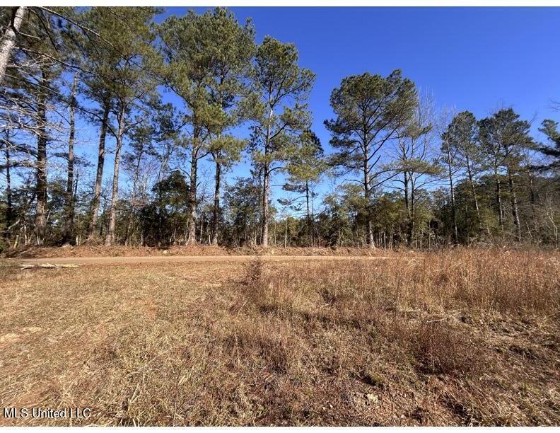 Poplar Springs Road Hazlehurst, MS 39083 - Photo 9 of 14 Poplar Springs Rd