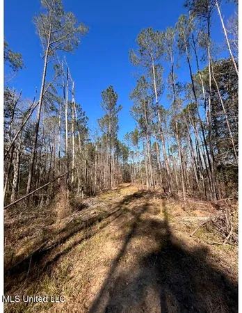 $153,939 | Poplar Springs Road, Hazlehurst, MS 39083