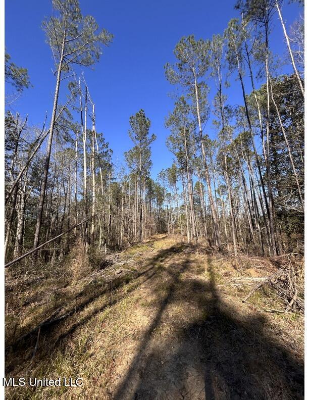 Poplar Springs Road Hazlehurst, MS 39083 - Photo 10 of 14 Poplar Springs-Pines 2