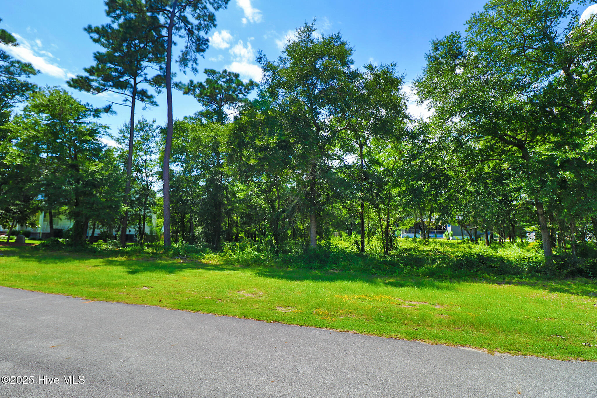 Vacant lot in Spooner's Creek