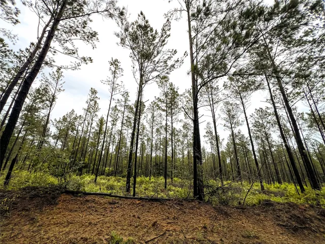 $99,000 | 5 Cr 257 Jasper Tx 75951, Jasper, TX 75951