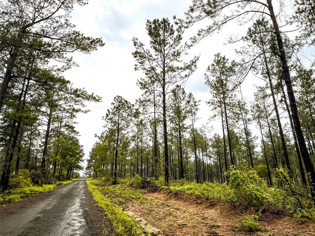 $99,000 | 5 Cr 257 Jasper Tx 75951, Jasper, TX 75951