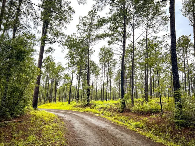 $99,000 | 5 Cr 257 Jasper Tx 75951, Jasper, TX 75951