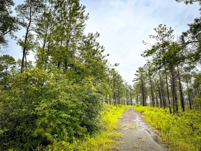 $99,000 | 5 Cr 257 Jasper Tx 75951, Jasper, TX 75951